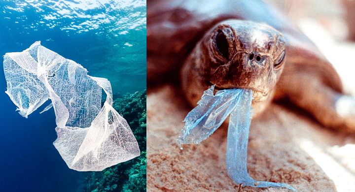 Plasticos polucionan el oceano