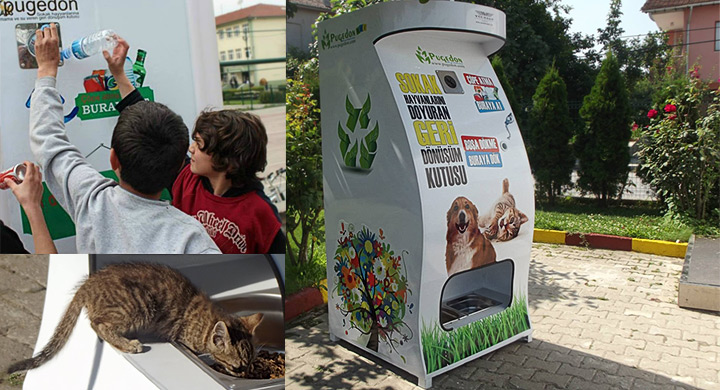 Pugedon maquina-que-alimenta animales abandonados reciclando botellas