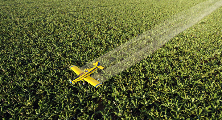 Avion pulveriza pesticidas