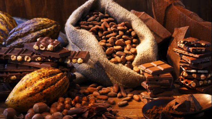 cacao-biomasa